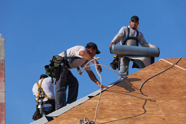 Best Metal Roofing Contractor  in Boulevard Gardens, FL